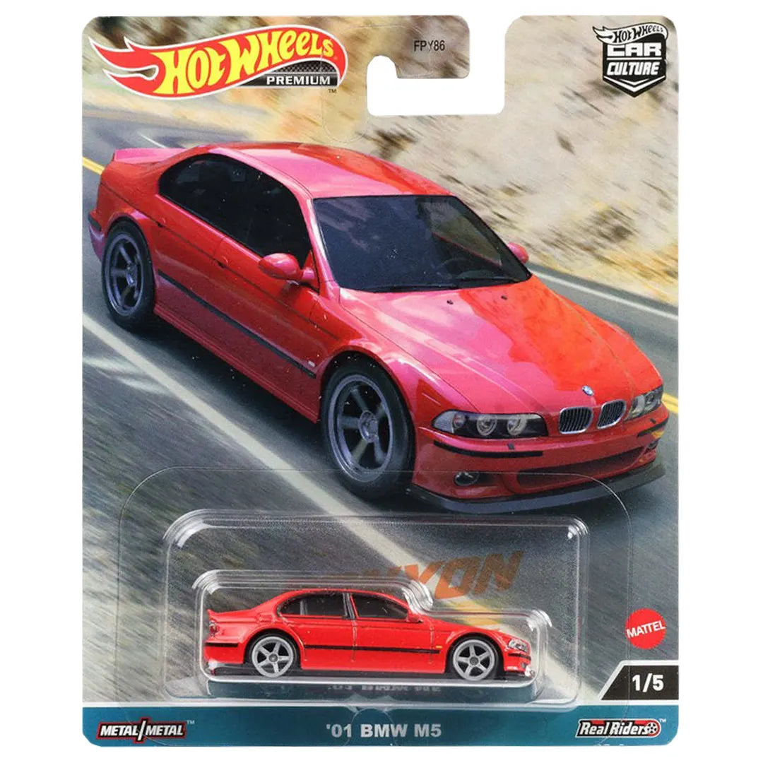 01 BMW M5 - Canyon Warriors 1/5 - Hot Wheels