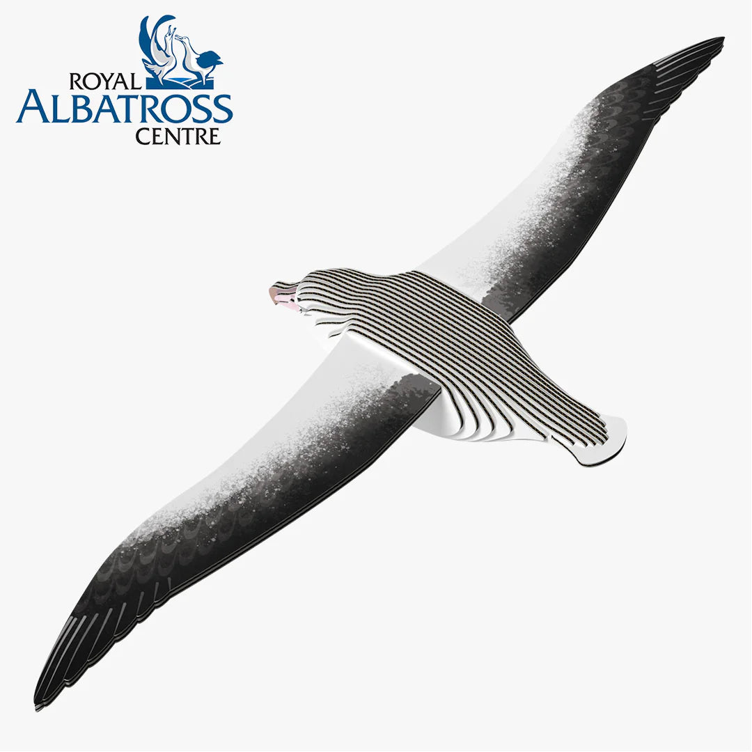 Royal Albatross - Puzzle 3D de Cartón - Eugy Dodoland