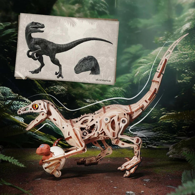 Velociraptor Dinosaurio - Maqueta de Madera ROKR