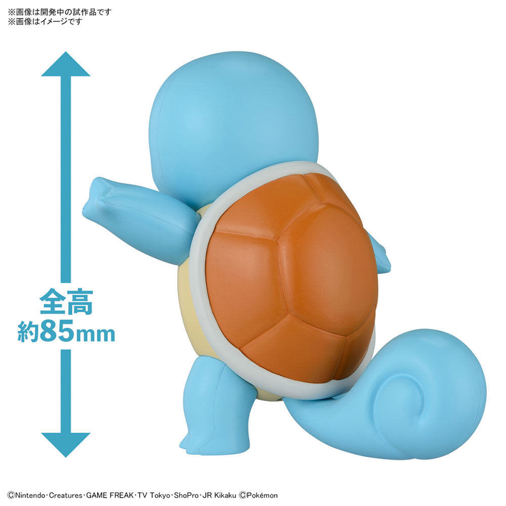 Squirtle - Pokémon Model Kit - Bandai