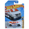 Dodge Van - 55 Race Team 2/5 - Hot Wheels