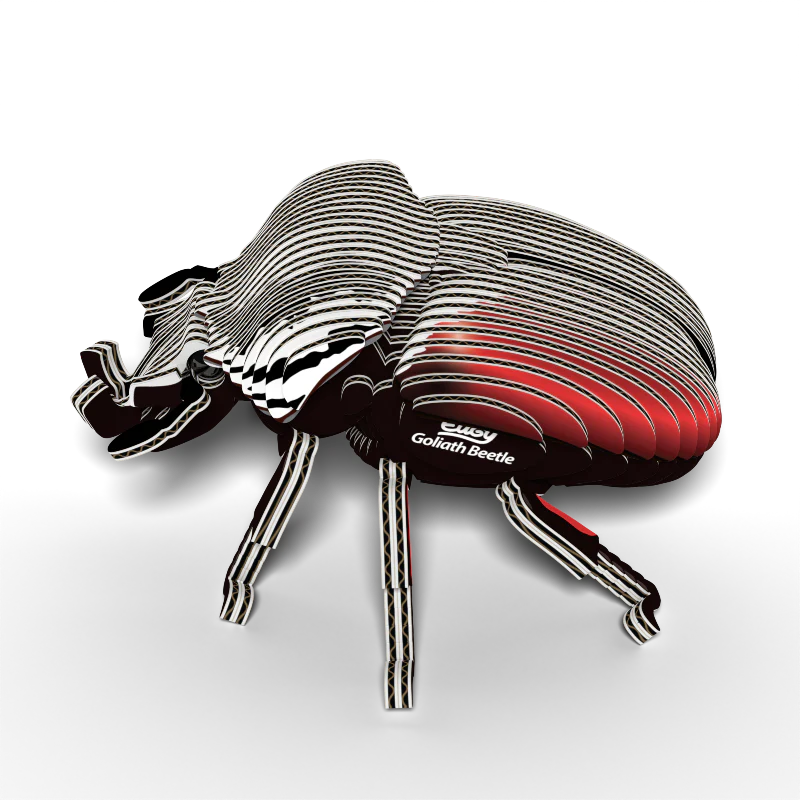 Escarabajo Goliath - Puzzle 3D de Cartón - Eugy Dodoland