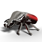Escarabajo Goliath - Puzzle 3D de Cartón - Eugy Dodoland