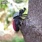 Escarabajo Goliath - Puzzle 3D de Cartón - Eugy Dodoland