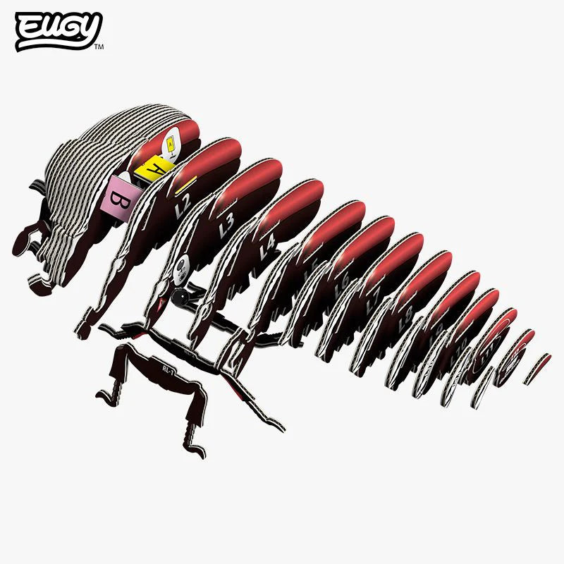 Escarabajo Goliath - Puzzle 3D de Cartón - Eugy Dodoland