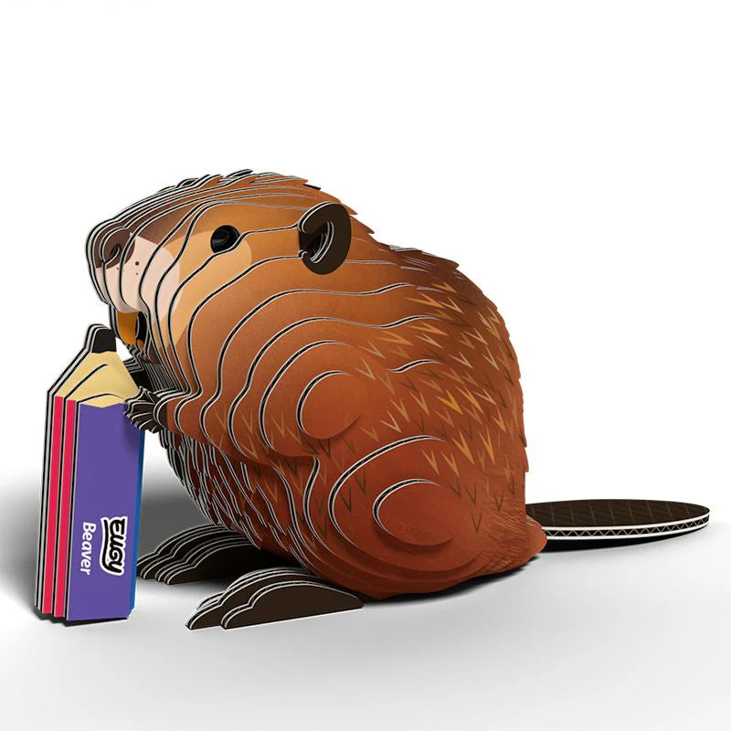 Castor - Puzzle 3D de Cartón - Eugy Dodoland