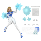 Invisible Woman Champion Class 11 accesorios BLOKEES