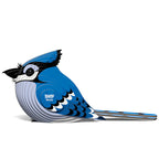 Blue Jay (Arrendajo azul) - Puzzle 3D de Cartón - Eugy Dodoland