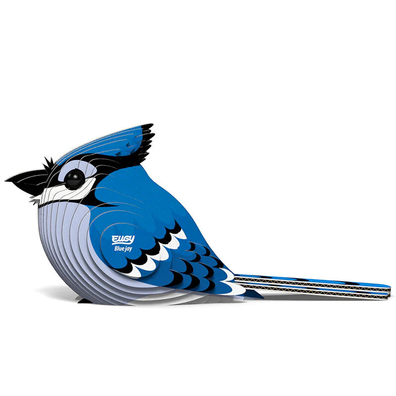 Blue Jay (Arrendajo azul) - Puzzle 3D de Cartón - Eugy Dodoland