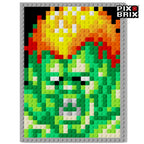 Street Fighter® - Todos los Personajes - Pix Brix Puzzle