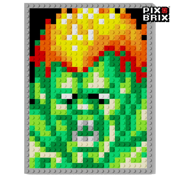 Street Fighter® - Blanka - Pix Brix Puzzle