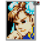Street Fighter® - Todos los Personajes - Pix Brix Puzzle