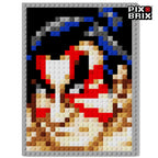 Street Fighter® - Todos los Personajes - Pix Brix Puzzle