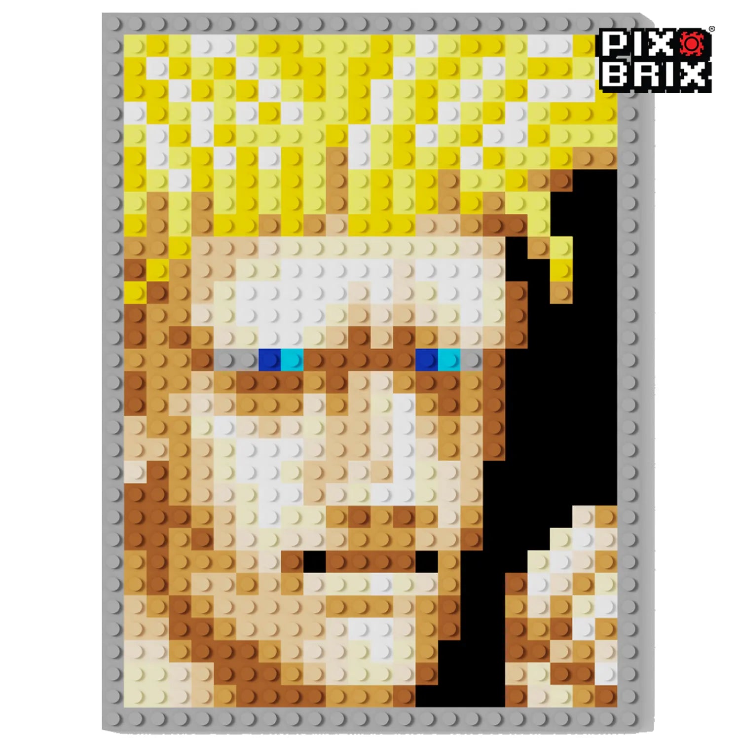 Street Fighter® - Todos los Personajes - Pix Brix Puzzle