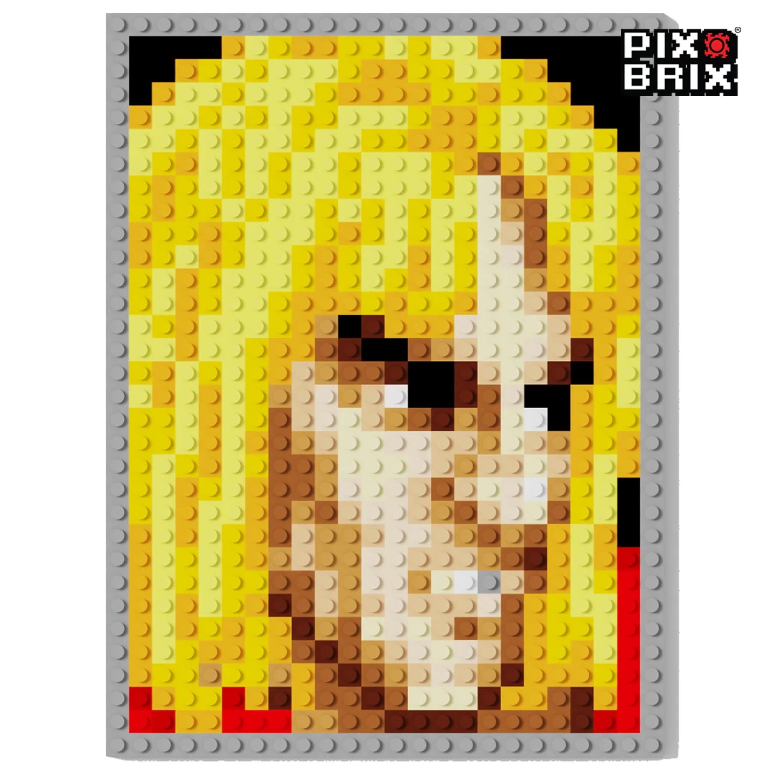 Street Fighter® - Ken - Pix Brix Puzzle