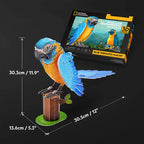 Guacamayo Garganta Azul - NatGeo - Rompecabezas 3D