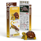 Tortuga - Puzzle 3D de Cartón - Eugy Dodoland