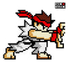 Ryu Puzzle 2D - 31 x 39cm - Pix Brix
