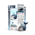 Ballena de Groenlandia - Puzzle 3D de Cartón - Eugy Dodoland