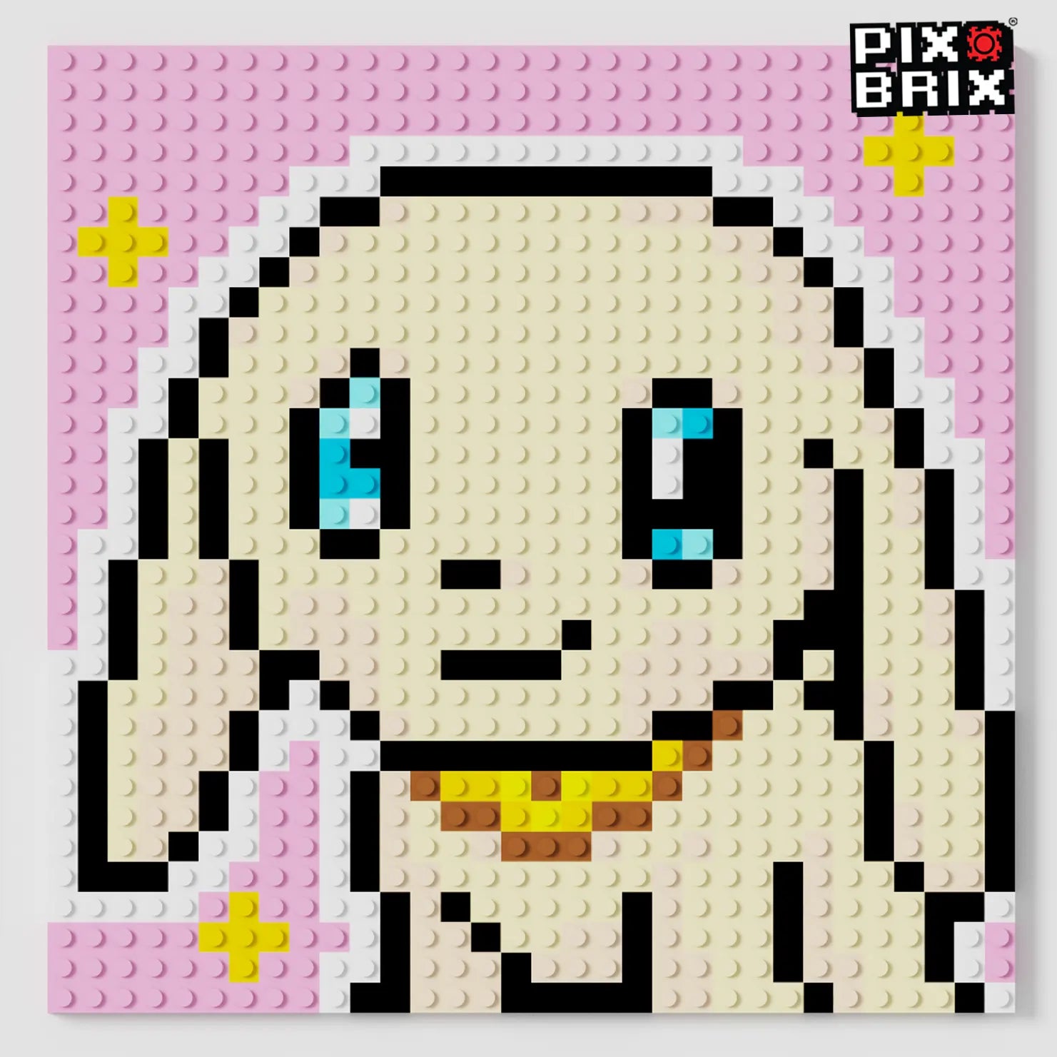 Salamon Puzzle 2D - 25.5 x 25.5cm - Digimon - Pix Brix