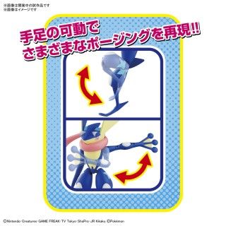 Greninja - Pokémon - Model Kit Articulado
