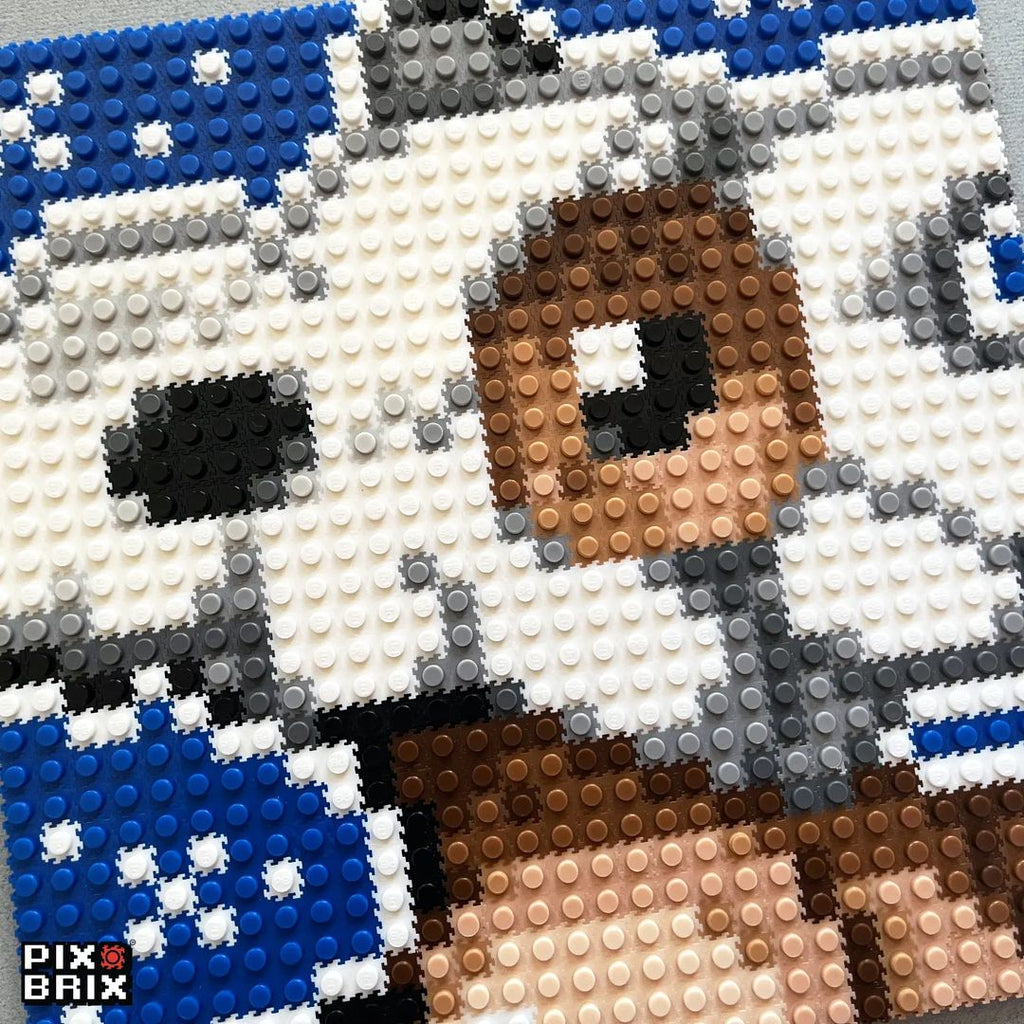 Cubone Puzzle 2D - 25.5 x 25.5cm - Pix Brix