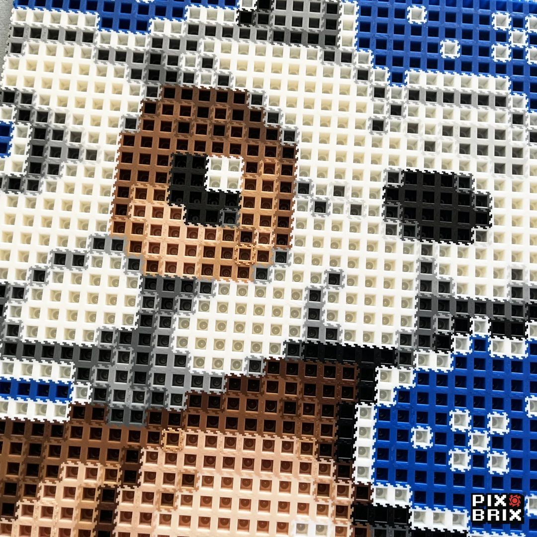 Cubone Puzzle 2D - 25.5 x 25.5cm - Pix Brix