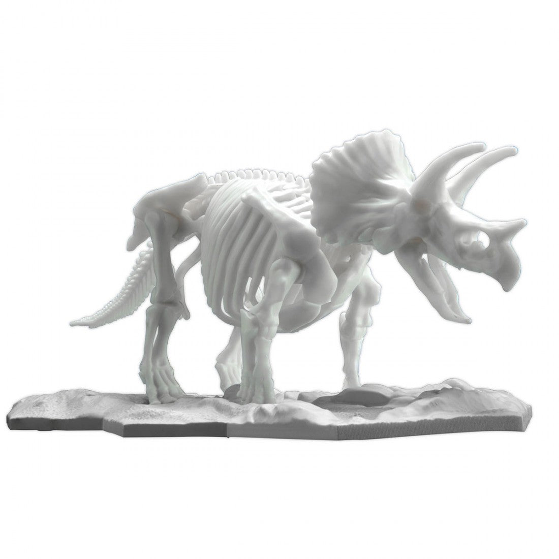TRICERATOPS Dinosaur Limex Skeleton - Model Kit - Bandai