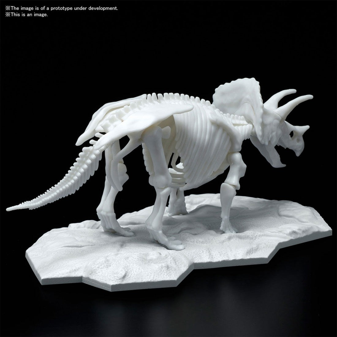 TRICERATOPS Dinosaur Limex Skeleton - Model Kit - Bandai