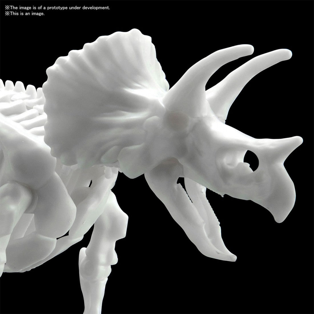 TRICERATOPS Dinosaur Limex Skeleton - Model Kit - Bandai