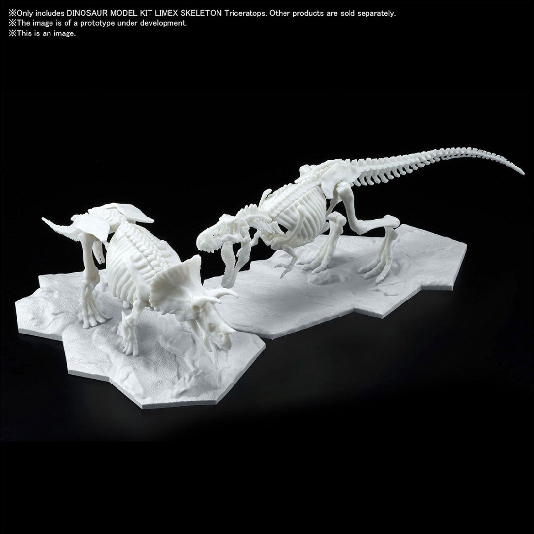 TRICERATOPS Dinosaur Limex Skeleton - Model Kit - Bandai