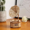 Gramophone - Rompecabezas 3D - Maqueta de Madera Rolife