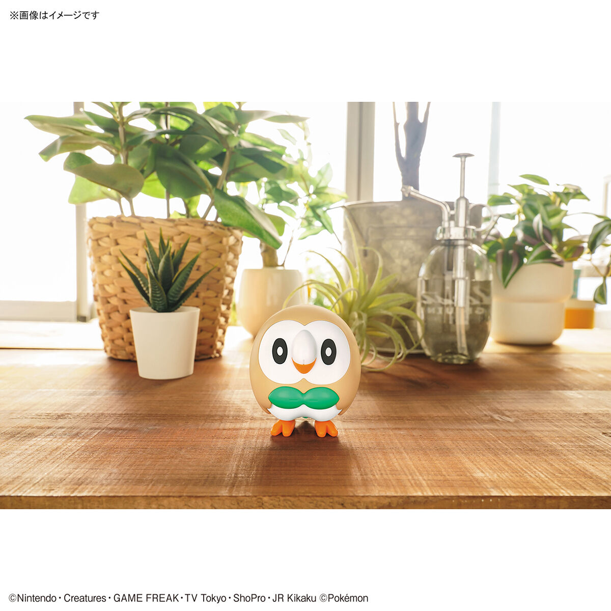 ROWLET - Pokémon Model Kit - Bandai